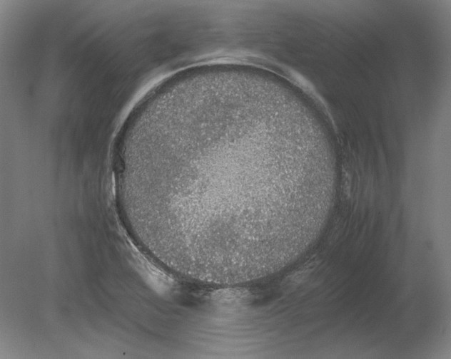 X0000080731368200701021109