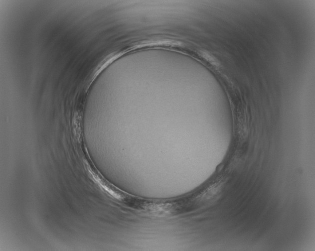 X0000080731369200701021109