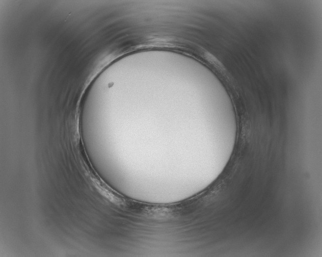 X0000080731370200701021109