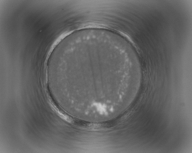 X0000080731371200701021109