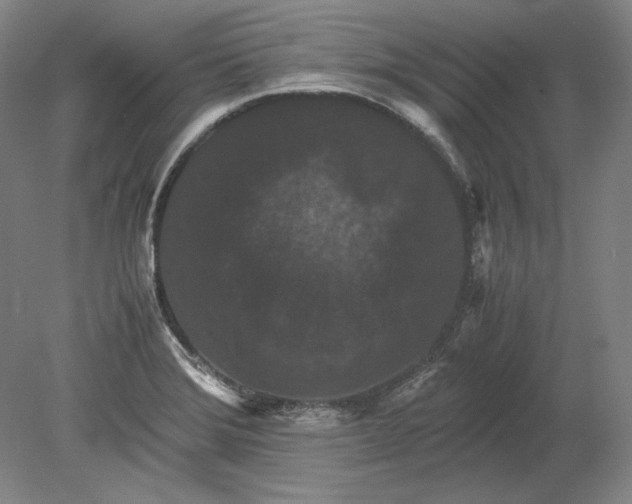 X0000080731372200701021109