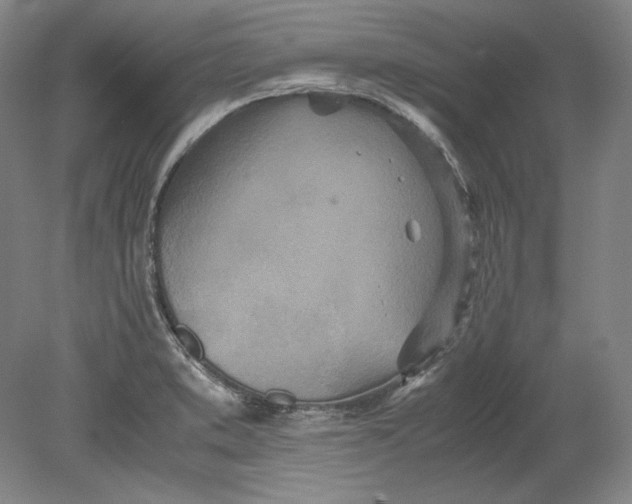 X0000080731373200701021109