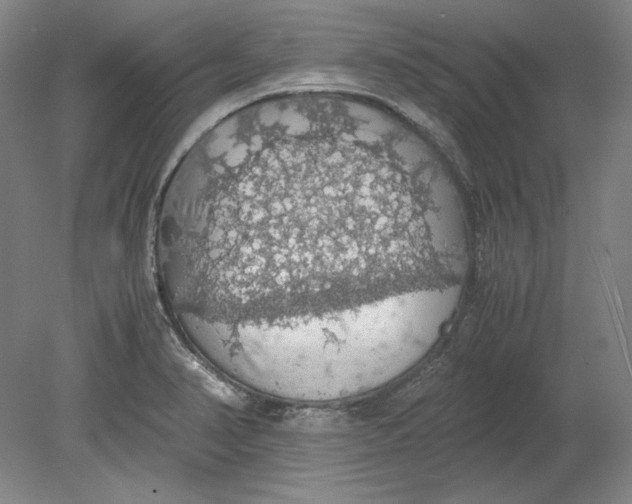 X0000080731374200701021109