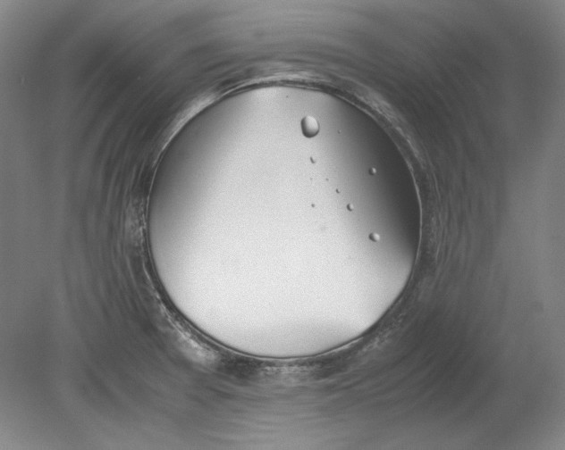 X0000080731377200701021109