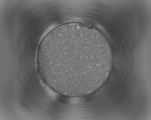 X0000080731378200701021109