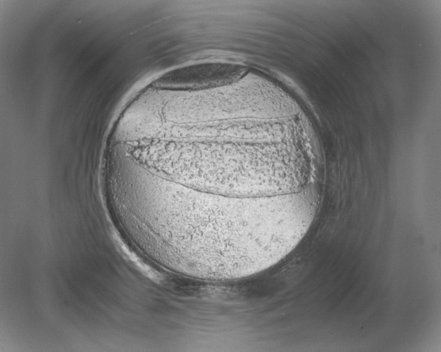 X0000080731379200701021109