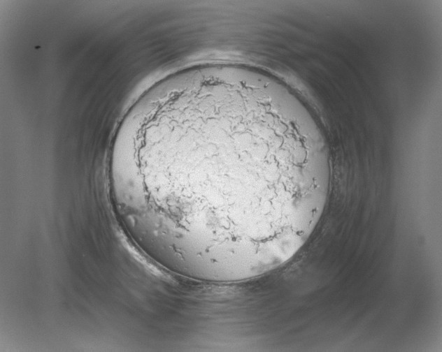 X0000080731382200701021109