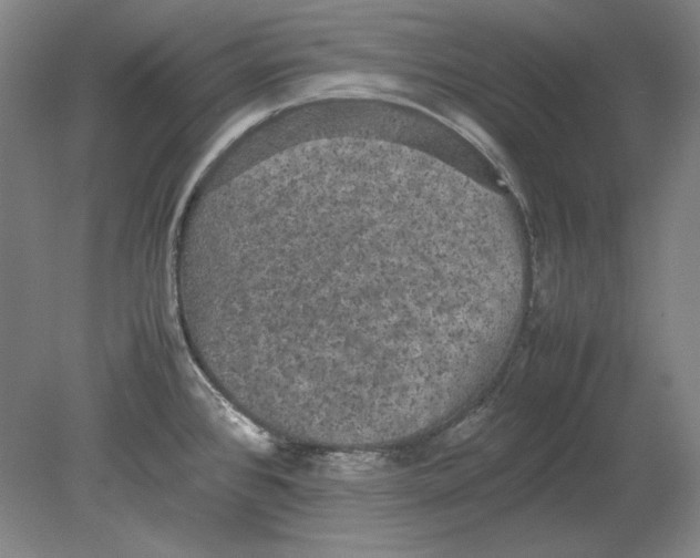 X0000080731384200701021109