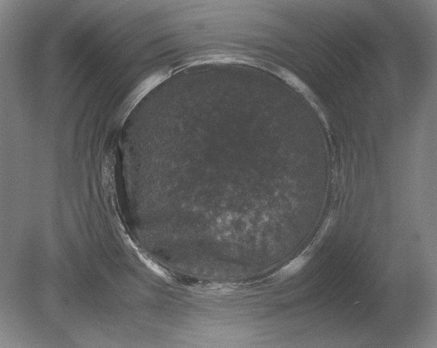 X0000080731385200701021109