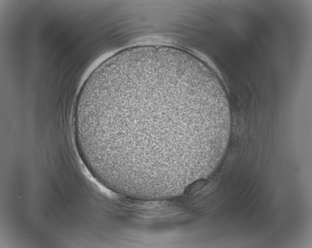 X0000080731387200701021109