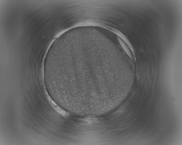 X0000080731388200701021109