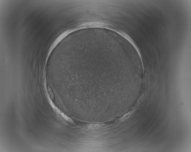 X0000080731389200701021109