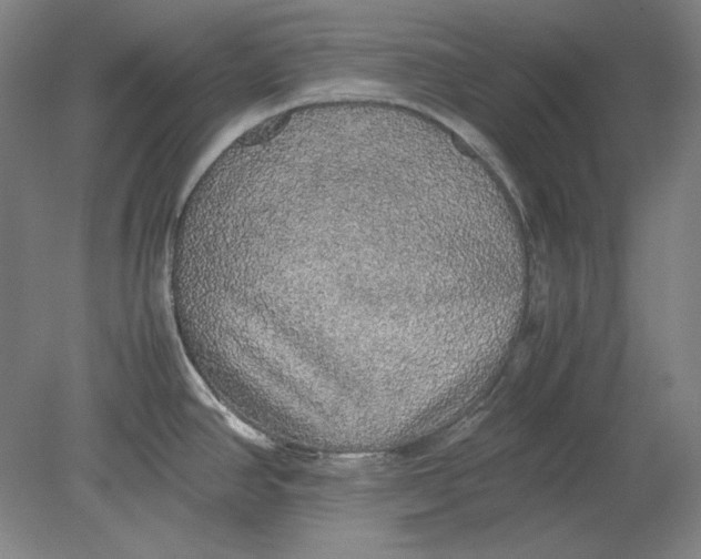 X0000080731390200701021109