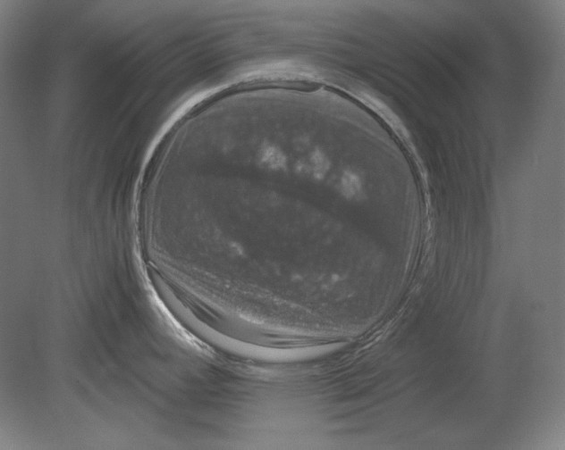 X0000080731392200701021109