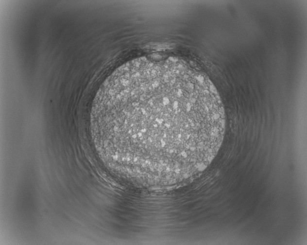 X0000080731393200701021108