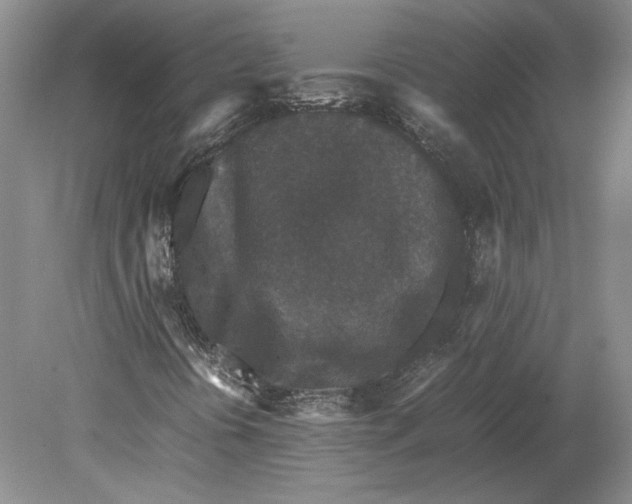 X0000080731394200701021108