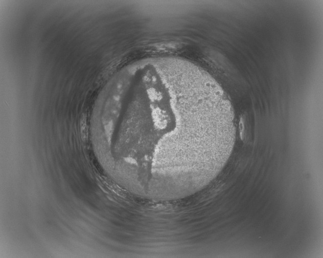 X0000080731395200701021108