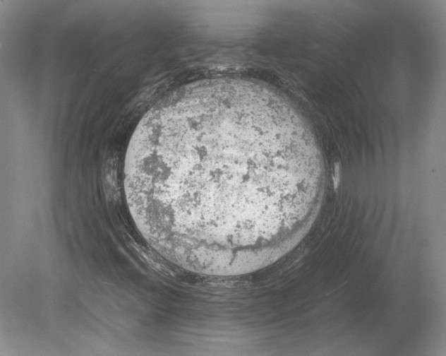 X0000080731396200701021108