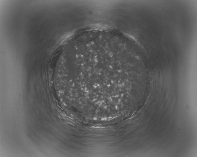 X0000080731399200701021108