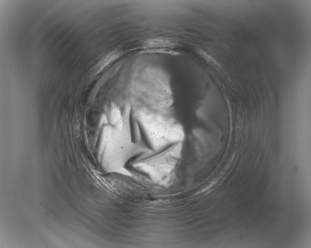 X0000080731401200701021108