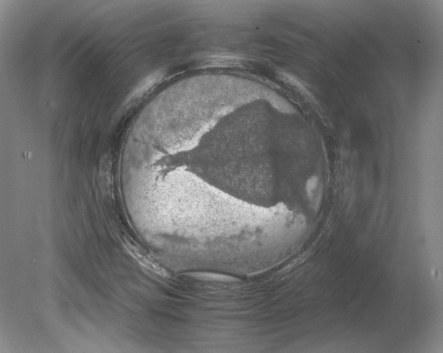 X0000080731403200701021108