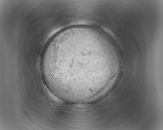 X0000080731404200701021108