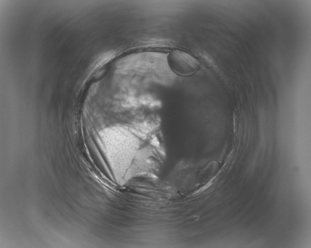 X0000080731405200701021108