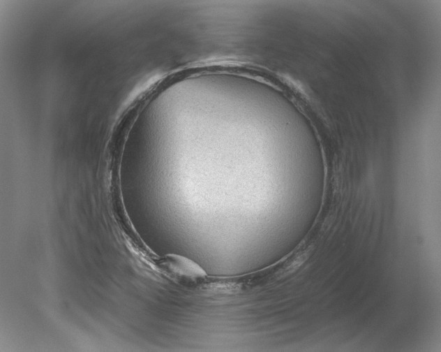 X0000080731406200701021108