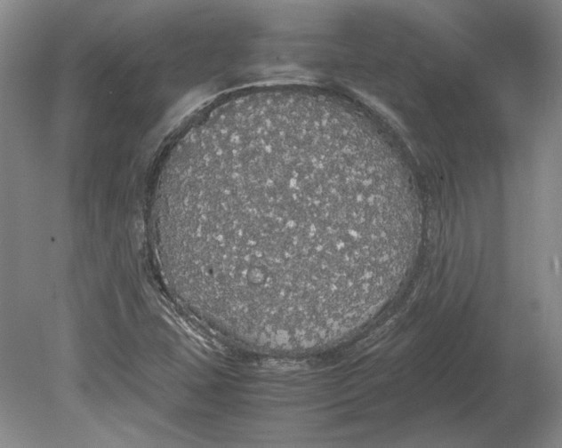 X0000080731407200701021108