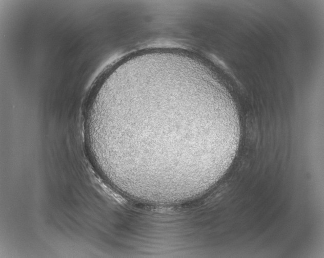 X0000080731408200701021108