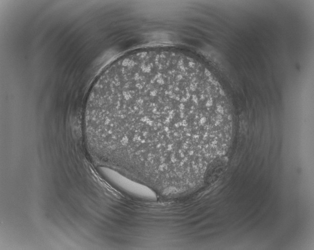 X0000080731409200701021108