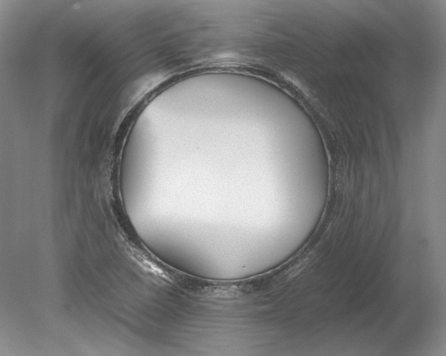 X0000080731410200701021108