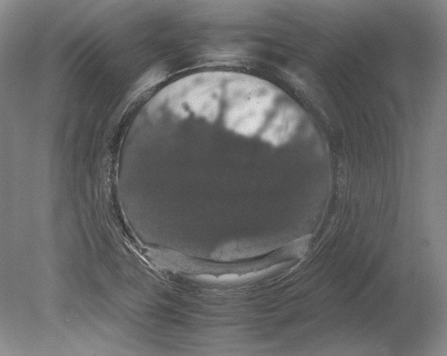 X0000080731411200701021108