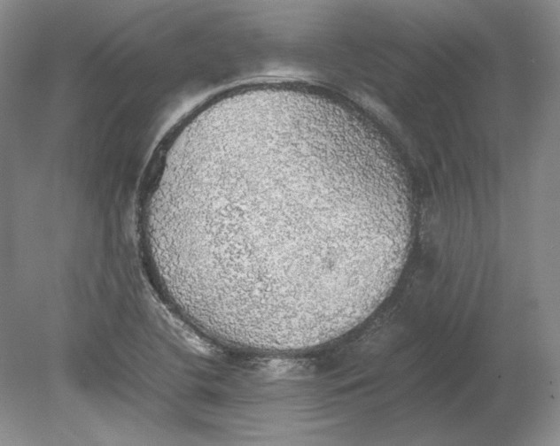 X0000080731412200701021108