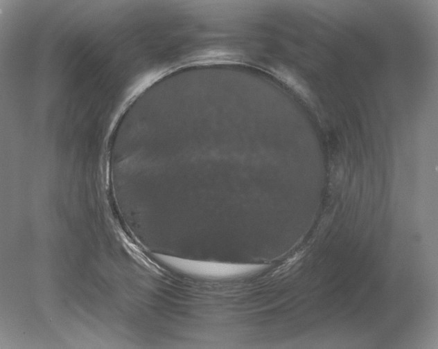 X0000080731413200701021108