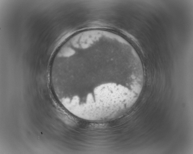 X0000080731415200701021108