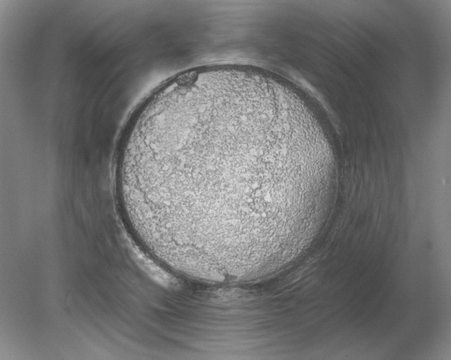 X0000080731416200701021108