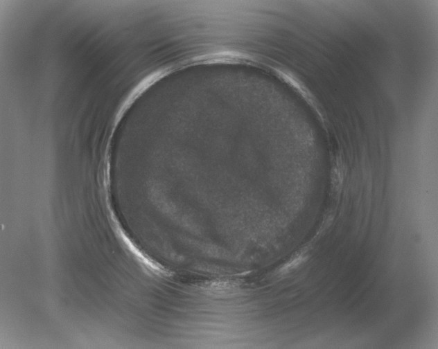 X0000080731418200701021108