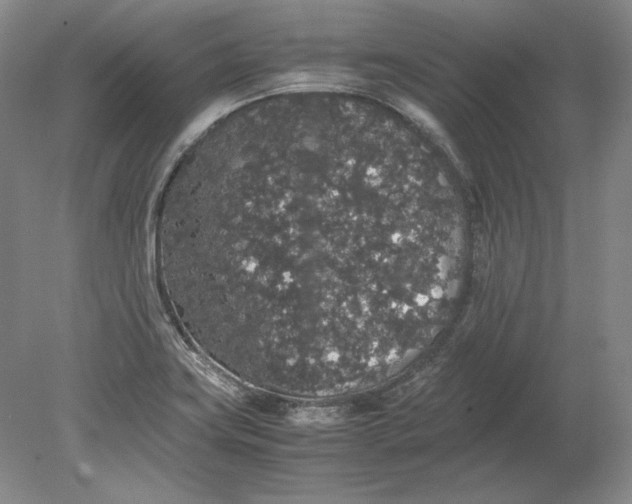 X0000080731419200701021108