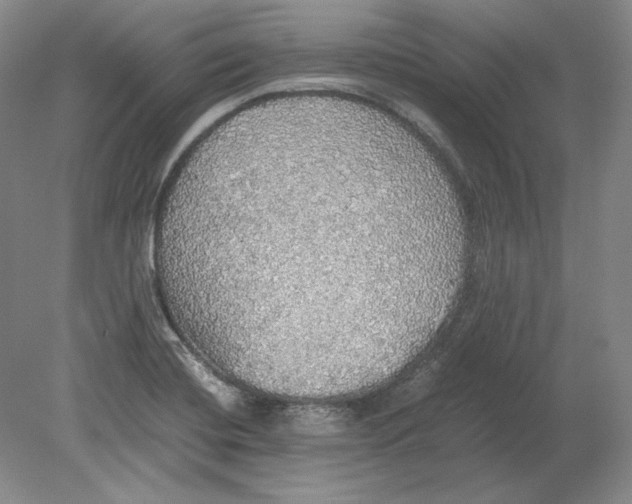 X0000080731420200701021108