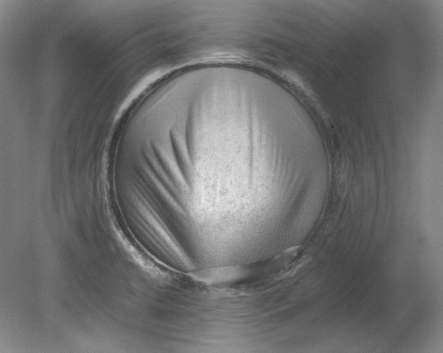 X0000080731422200701021108