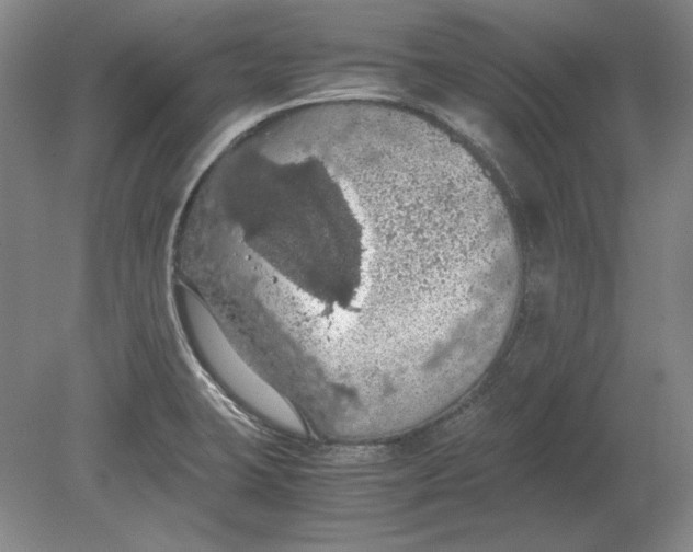 X0000080731423200701021108