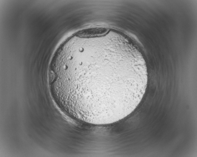 X0000080731424200701021108