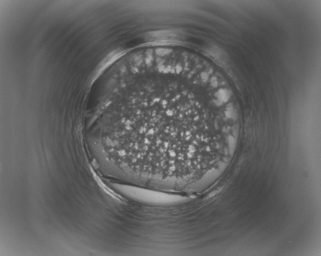 X0000080731425200701021108