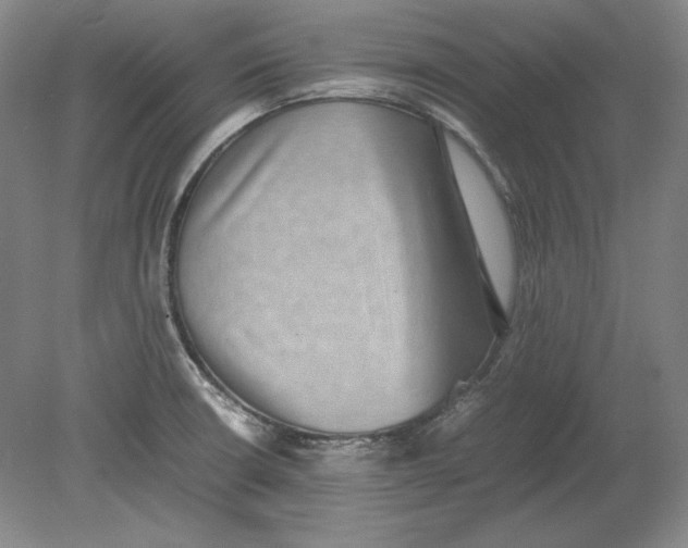 X0000080731426200701021108