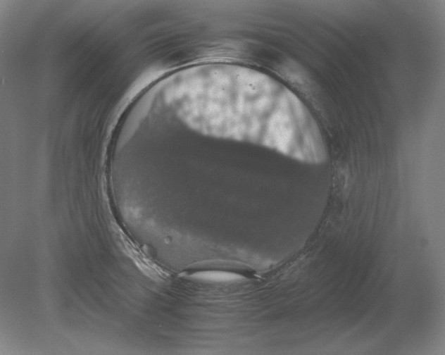 X0000080731427200701021108