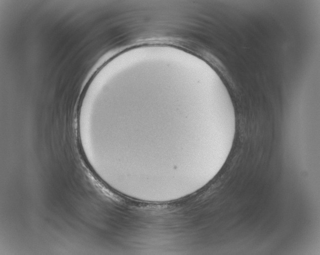 X0000080731428200701021108