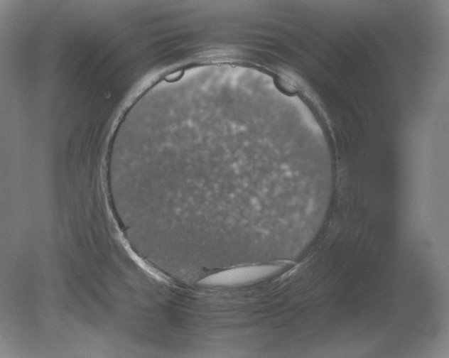 X0000080731429200701021108