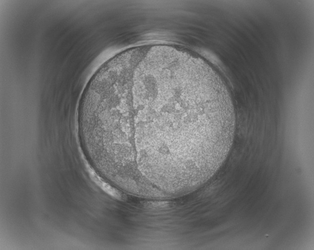 X0000080731431200701021108