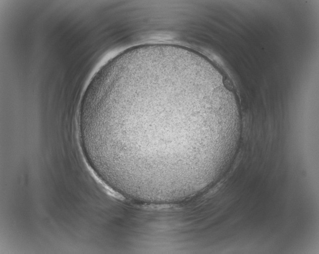 X0000080731432200701021108